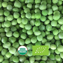 Nop EU Organic Certified IQF Frozen Organic Green Peas From China